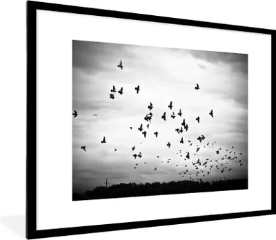 Produktbild von MuchoWow® Gerahmtes Poster Tiere - Vögel - Wolken - Schwarz - Weiß 80x60 cm - Poster mit Schwarzem Bilderrahmen Wandposter Rahmen Foto Bilder - Schlafzimmer-Dekorationen - Fotoposter