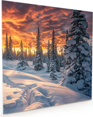 Produktbild von Küchenrückwand Spritzschutz Glas mit Motiv Winter Sonnenuntergang 40 x 40 cm