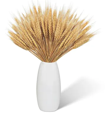 100 getrocknete Weizenähren, 43 cm, natürliche Trockenblumen