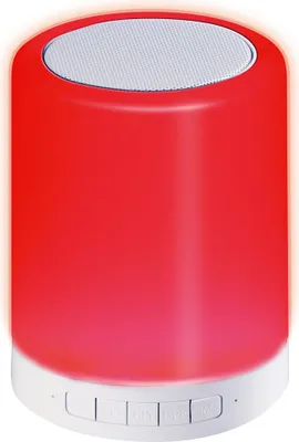 Produktbild von Platinet PDLSB01 tragbarer Lautsprecher