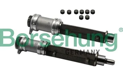 Produktbild von Borsehung Arretierdorn Ausgleichswelle B19132 für VW GOLF VI (5K1)