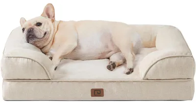 Image de Lit orthopédique pour chien, 76x51 cm, en mousse à mémoire de forme, panier pour chiens de taille moyenne, lavable, imperméable, couleur beige