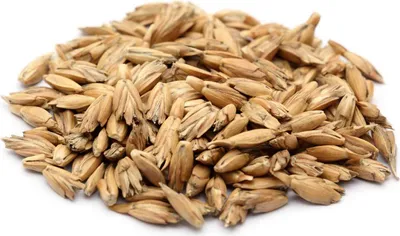 A pile of dried grains, likely spelt husks, on a white background.