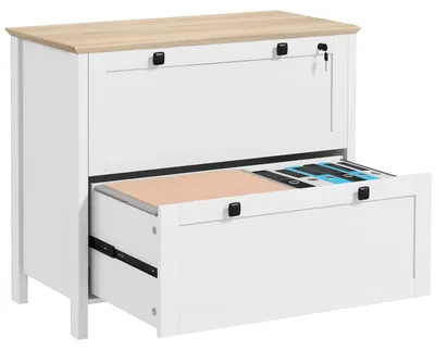 Obrázek produktu pro Kancelářská skříň na dokumenty - zásuvková skříň - 2 zásuvky - 2 závěsné lišty na dokumenty - 79 x 40 x 72 cm - bílá