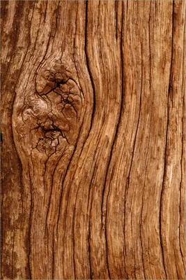 Produktbild von Wallario selbstklebendes Poster - Holzstamm mit Asteinschluss, Größe: 61 x 91,50 cm