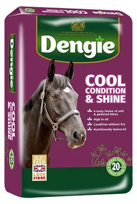 Produktbild von Dengie Cool Condition & Shine Pferdefutter-Scheiben für Kondition und Gewichtszunahme, für Pferde und Ponys, 20 kg
