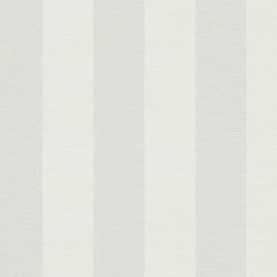 Produktbild von A.S. Creation | Natural Living | 386653 | Vliestapete | Streifentapete | 10.05 x 0.53 m | Grau | Wohnzimmer | Flur | Büro | Küche | Wohnräume