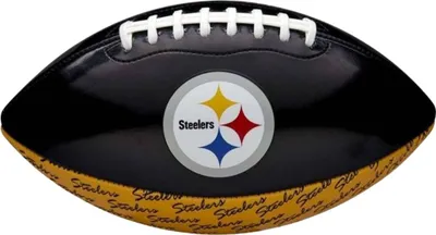 Obrázek produktu pro Wilson F1523XB NFL City Pride Peewee Team Steelers