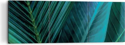 Produktbild von Bild auf Leinwand - Leinwandbild - 3 Teile - Blatt Tropen Grün - 120x40cm - Wand Bild - Wanddeko - Wandbilder - Leinwanddruck - Bilder - Wanddekoration - Leinwand bilder - Wandbild - CA120x40-5071