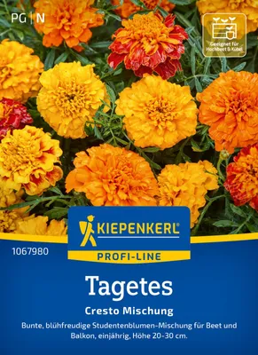 Artikelbild 2 von 'Tagetes Cresto Mischung' aus der Kategorie Studentenblumensamen