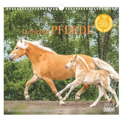 Produktbild von DUMONT Kalender Geliebte Pferde 2027 – Wandkalender mit Spiralbindung, 38 x 36 cm