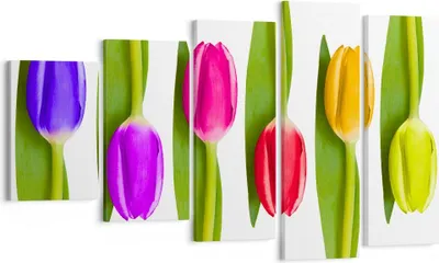 Produktbild von Bild auf Leinwand - Leinwandbild - Tulpe Blume Garten Komposition - 100x60cm - Wand Bild - Wanddeko - Leinwanddruck - Bilder - Kunstdruck - Wanddekoration - Leinwand bilder - Wandkunst - EG100x60-2360