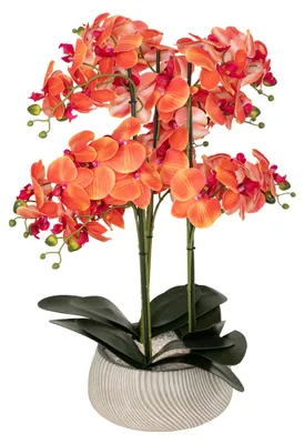 Immagine prodotto di Orchidea artificiale in vaso "Sanae" in cemento arancione, h 65 cm - Atmosphera créateur