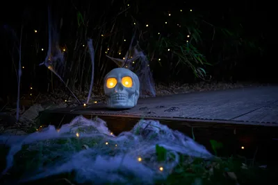 Image de Décoration d'Halloween effrayante : lampes LED en forme de crâne, fonctionnant avec 2 piles AA, idée cadeau