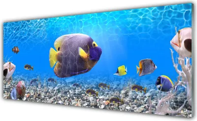 Produktbild von Acrylglasbilder 125x50 Wandbild Druck Fische Natur