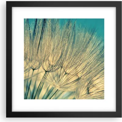 Produktbild von Gerahmtes Poster - Schwarzer Rahmen - Löwenzahn Makro Löwenzahn - 30x30 cm - Wand Bild - Wanddeko - Wandbilder - Kunstposter - Wandposter - Bilderrahmen - Bilder - Kunstdruck - P2BAC30x30-4846