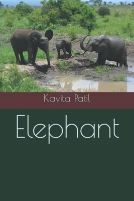 Productafbeelding van Decoratieve Olifant Beeld