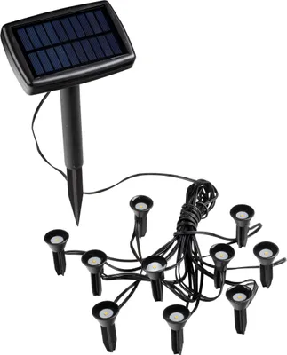 Produktbild von LED Solar Pflanzenstrahler - 10 Strahler / warmweiß - Garten Leuchten