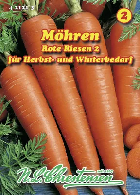 Produktbild von Speisemöhre Rote Riesen 2 | Möhrensamen von N.L. Chrestensen