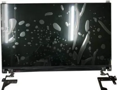 Immagine prodotto di Dell ASSY LCD, non touch screen (M1YDD)