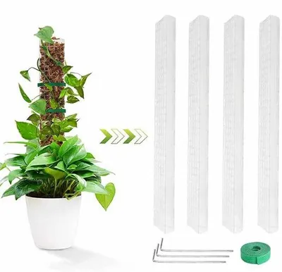 Image de Tiges de support en plastique pour pots de fleurs et plantes grimpantes