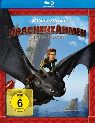 Produktbild von Drachenzähmen leicht gemacht