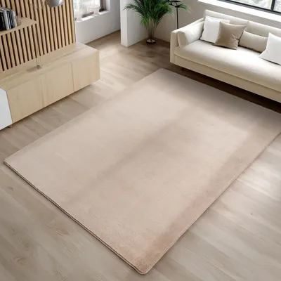 A modern living room with a beige rug, a light-colored sofa, and wooden furniture.