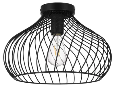 Productafbeelding van EGLO Staverton, 1 gloeilamp, E27, IP20, zwart