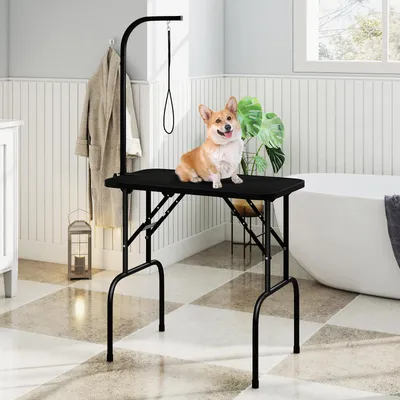 A dog grooming table is set up in a bathroom with a bathtub and a bathrobe hanging on a rack.