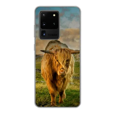 Produktbild von MuchoWow® Handyhülle Schutzhülle Hülle für Samsung Galaxy S20 Ultra Schottischer Highlander - Gras - Berg Silikon Softcase Handy Hülle - Karteninhaber