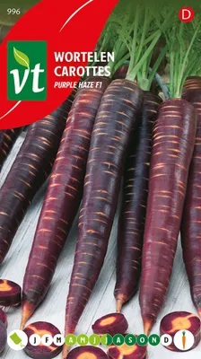 Obrázok produktu pre Semená mrkvy Purple Haze F1 - približne 1 gr | VT_996
