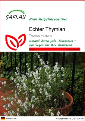 Produktbild von SAFLAX - Heilpflanzen - Echter Thymian - 200 Samen - Thymus vulgaris