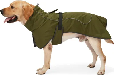 Produktbild von Wasserdichte Hundejacke mit reflektierenden Streifen für kalte Wetterbedingungen und weichem Innenfutter