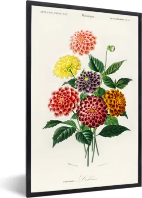 Produktbild von MuchoWow® Gerahmtes Poster Botanik - Weinlese - Blumen 60x90 cm - Poster mit Schwarzem Bilderrahmen Wandposter Rahmen Foto Bilder - Kunst