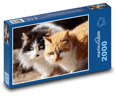 Zdjęcie produktu dla Puzzle 2000 Urocze koty w przyrodzie - martinpuzzle