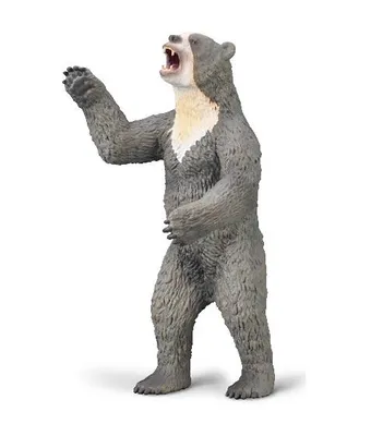 Produktbild von Collecta Spielzeug Kurzschnauzenbär - pädagogische Dinosaurier Figur