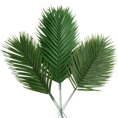 Image de CCINEE : Feuilles de palmier artificielles, différentes tailles, grandes palmes artificielles