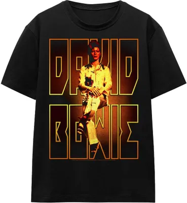 Produktbild von David Bowie - "Perched" T-Shirt für Herren/Damen Uni TV15600 (XXL) (Schwarz)