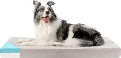 Produktbild von Orthopädisches Hundekissen L groß waschbar