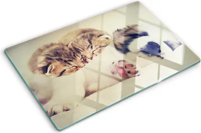 Produktbild von Tulup Glas Herdabdeckplatte - 80x52 cm - Glaskeramikkochfeld-Abdeckung Spritzschutz Glasabdeckplatte - Einteilig - Tiere - Katzen und Hund - Braun