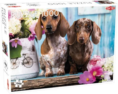 Immagine prodotto di Puzzle Bassotti 1000