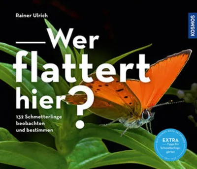 Produktbild von Wer flattert hier