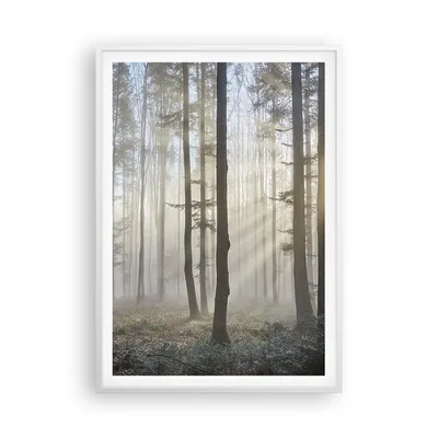 Produktbild von Gerahmtes Poster - Weißer Rahmen - Wald Baum Natur - 70x100 cm - Wand Bild - Wanddeko - Wandbilder - Kunstposter - Wandposter - Bilderrahmen - Bilder - Kunstdruck - Wandbild - P2WPA70x100-3749