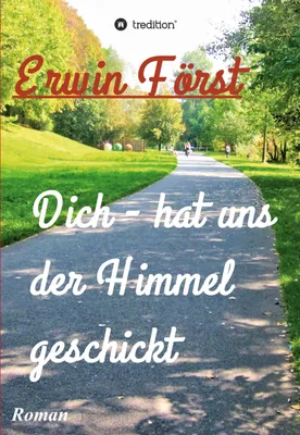 Produktbild von Dich - hat uns der Himmel geschickt