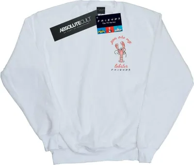 Produktbild von Friends - Sweatshirt für Damen BI17804 (L) (Weiß)
