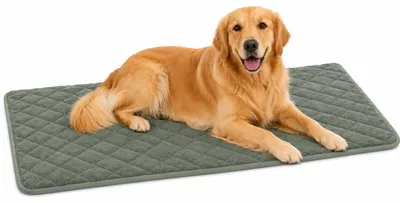 Produktbild von Flamingo hundebett - katzenbett orthopädisch Weimar grün XXL - Premium hundekiss