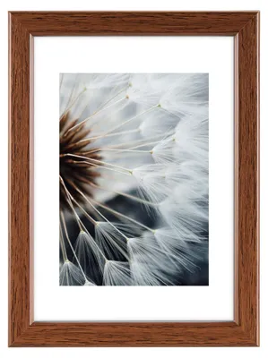 Produktbild von Hama Breeze, Einzelbilderrahmen, Glas, Polystyrol (PS), Braun, Wand, 13 x 18 cm, Rechteckig