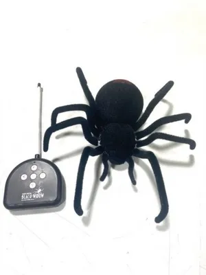 Zdjęcie produktu dla RC Spider Black Widow