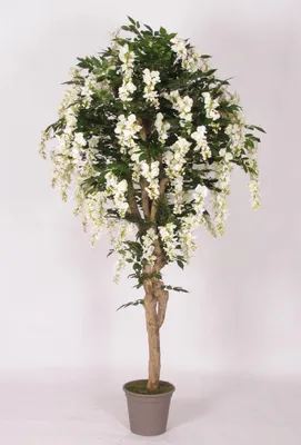 Produktbild von artplants.de Kunstbaum Blauregen ERLINA, Echtstamm, mit Blüten, weiß, 200cm -  Italy - Unechter Blauregen