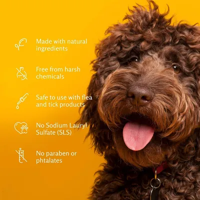 Produktbild von Arm & Hammer 2-in-1 Spray und Trockenshampoo für Hunde und Welpen, mit Natriumbikarbonat, Rot-Orange-Geschmack, 142gr